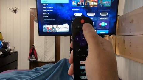 Roku Secret Codes Part 3 - Developer Panel