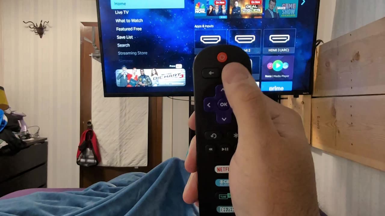 Roku Secret Codes Part 3 - Developer Panel
