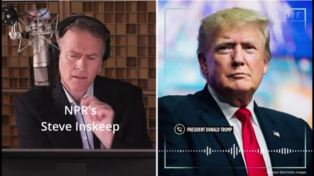 NPR's Steve Inskeep shows off his buffoonery skills in this Interview with President Trump