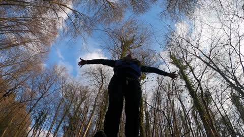 low angle of forest trees