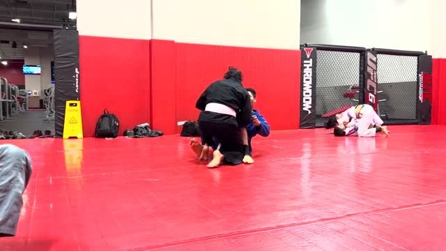 Jiu Jitsu White Belts | Circadian MMA (11-28-2022)