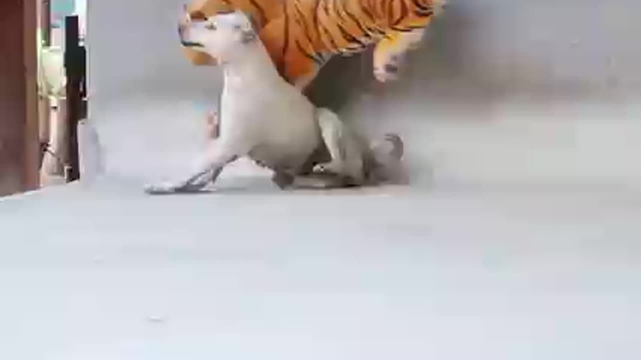 Fake Tiger Moving vs Prank Sleeping Dog Very Funny With Surprise Scared Reaction - Try Not To Laugh