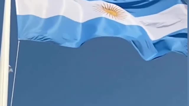 ARGENTINA 💙💙💙💙💙🇦🇷🇦🇷🇦🇷🇦🇷🇦🇷 #reels #viralshorts #education #argentina #fifa22 #fifa