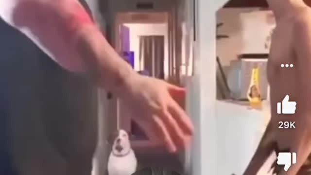 slap contest 2022 - FUNNY STORY WATCH TELL THE END!