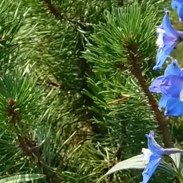 Transform Your Mood: How Relaxing This is Volume 86