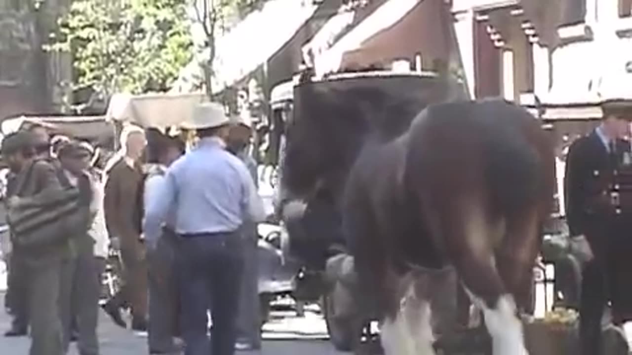 Clydesdales' Journey to the Super Bowl