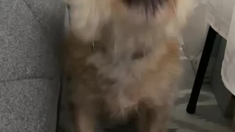 BERKELEY WANTS TO GO OUT AGAIN !