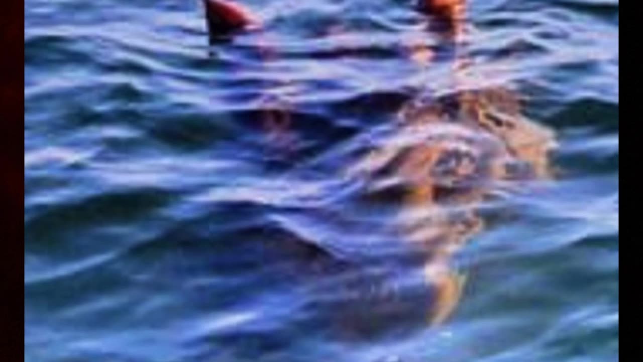 Ogopogo: The Mysterious Lake Monster of Lake Okanagan