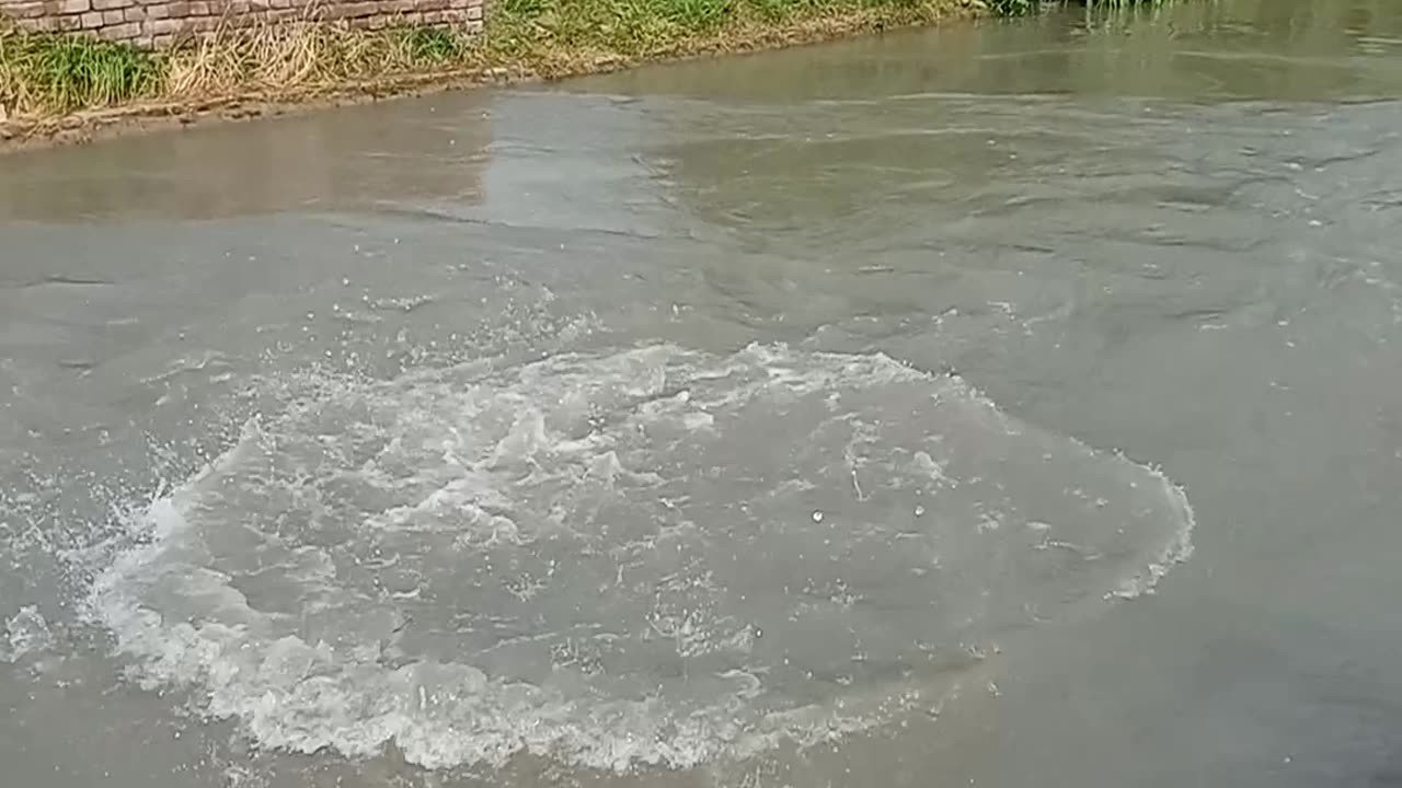 Jump In Pool || Beautiful Video