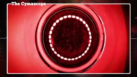 Unbelievable! Watch What Happens When 'Divine Frequency' Meets Dead Blood