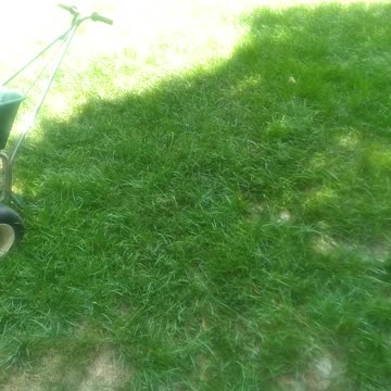Fescue Lawn Seeding.