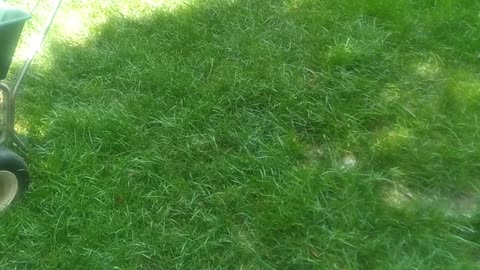 Fescue Lawn Seeding.