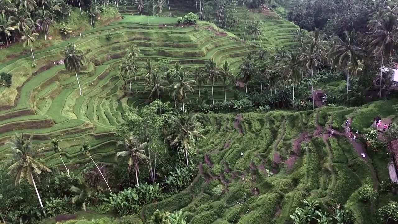 STUDYING ABROAD IN BALI - A TYPICAL DAY IN PARADISE