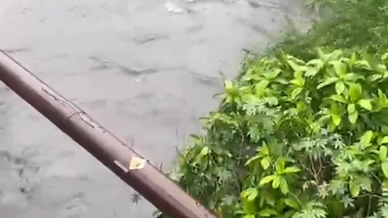 Baby lost in river by mistake of mother. Mumbai,