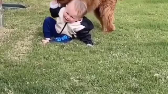 Baby falls in love with his pet while playing