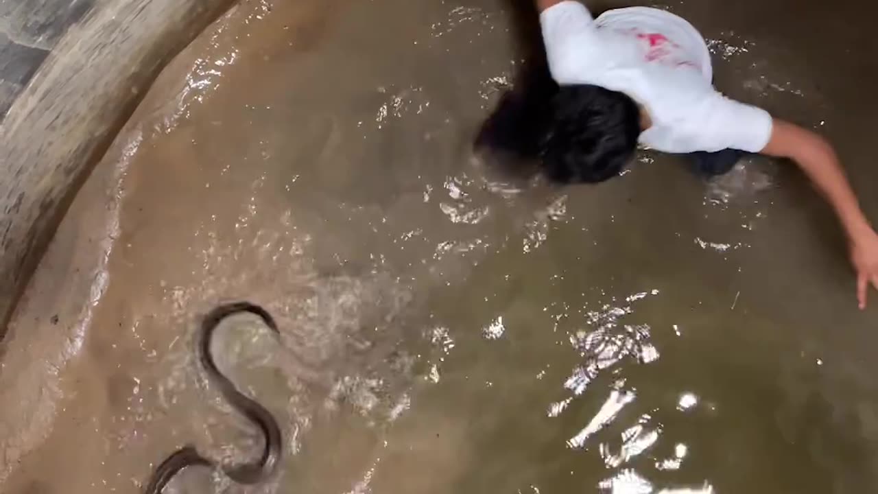 Snake in water tank