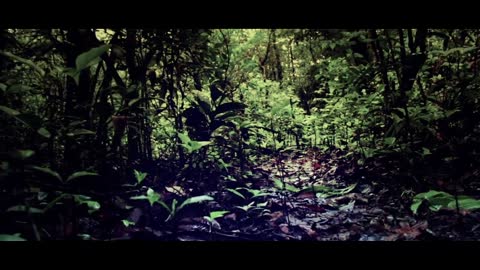 The scenery is everywhere, but the mood to see the scenery is different.