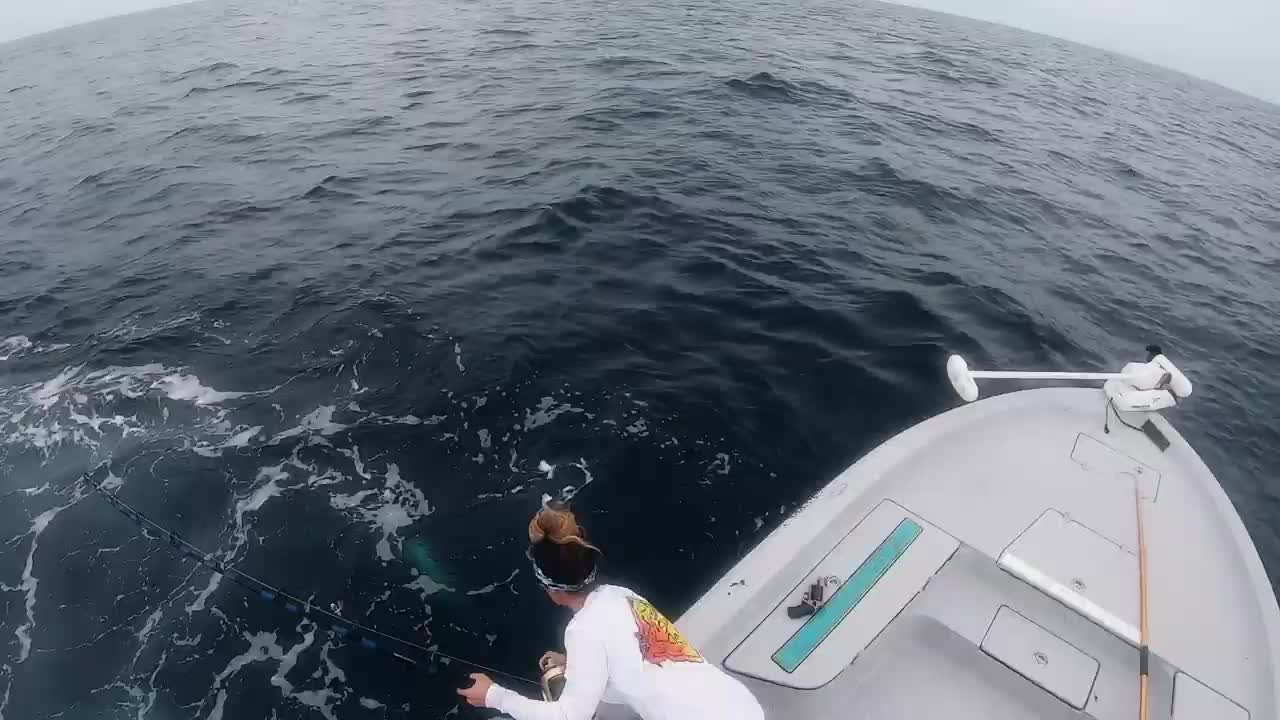 INSANE FISH of a LIFETIME!!