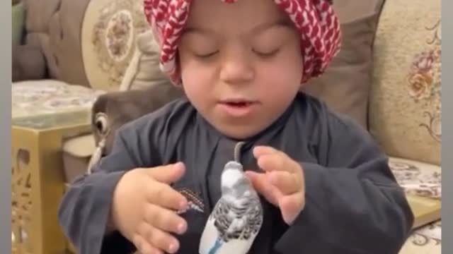 Cute boy play with a bird
