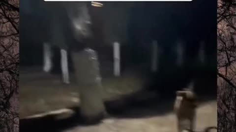 Paranormal activities in real life