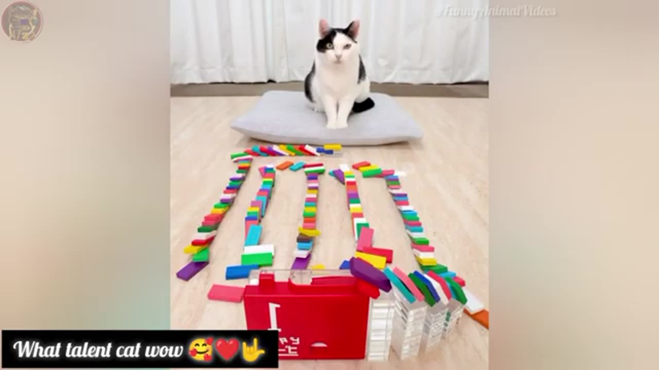 Funniest Cats And Dogs Videos 😂 Funny Animal videos 2024 (part-58)