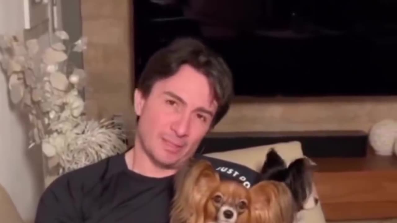 Airline Loses Man's Dogs