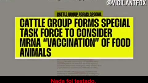 MRNA no gado _ Sasha Latypova