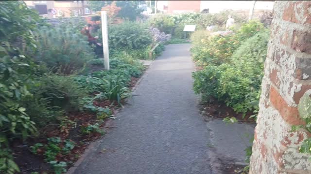 Blind deaf mitch the Norfolk Terrier explores a peace Garden in England