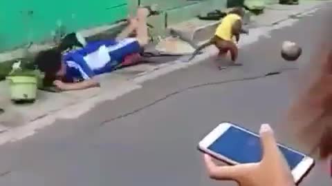The monkey motorcycle was speeding