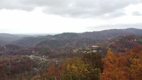 Gatlinburg (Bear Edition)