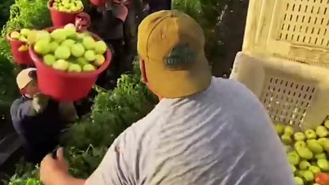 Satisfying videos- workers doing their job perfectly