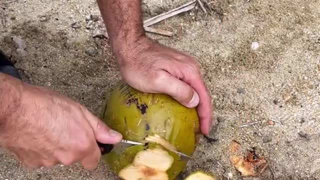 Opening up a coconut 🥥 ##coconuts