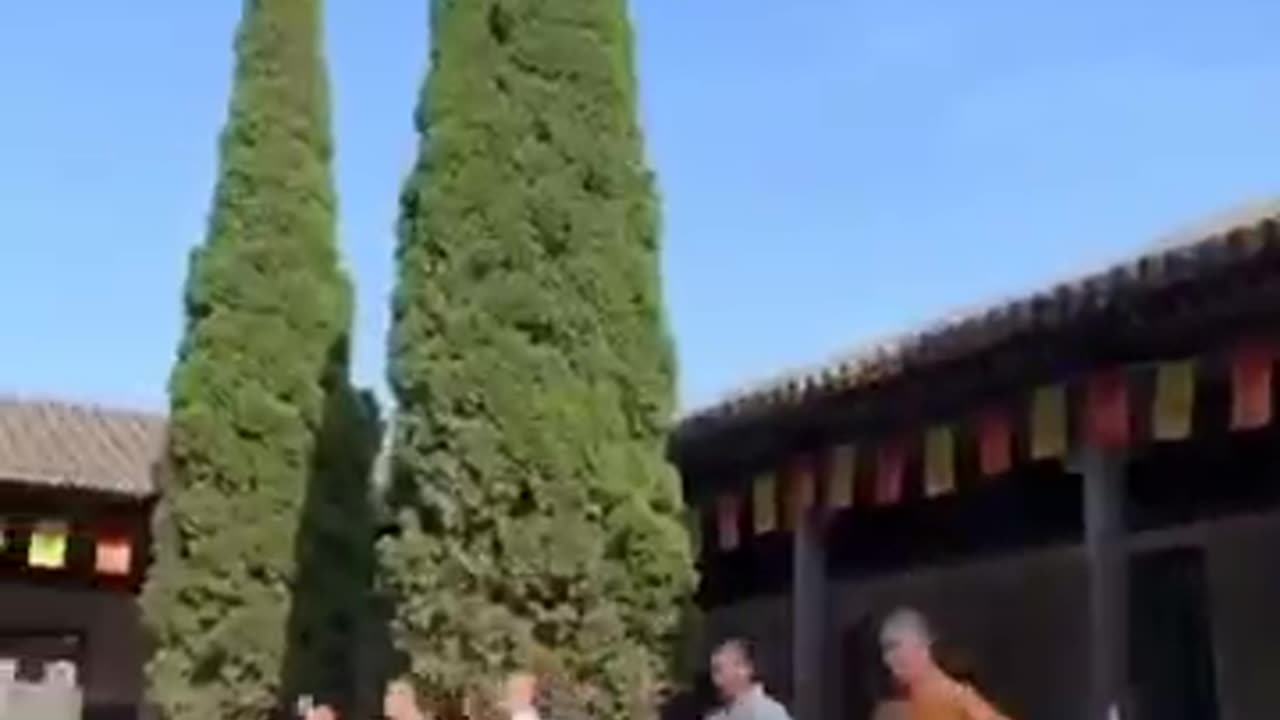 Shaolin kungfu training exercise