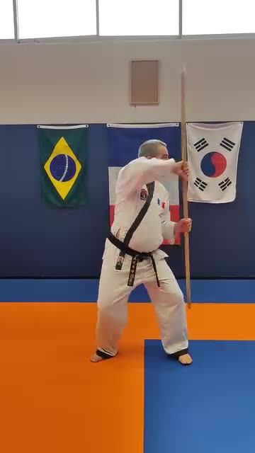 Hapkido Long Pole Techniques