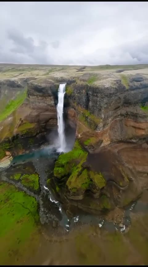 THIS IS CALLED REALITY .