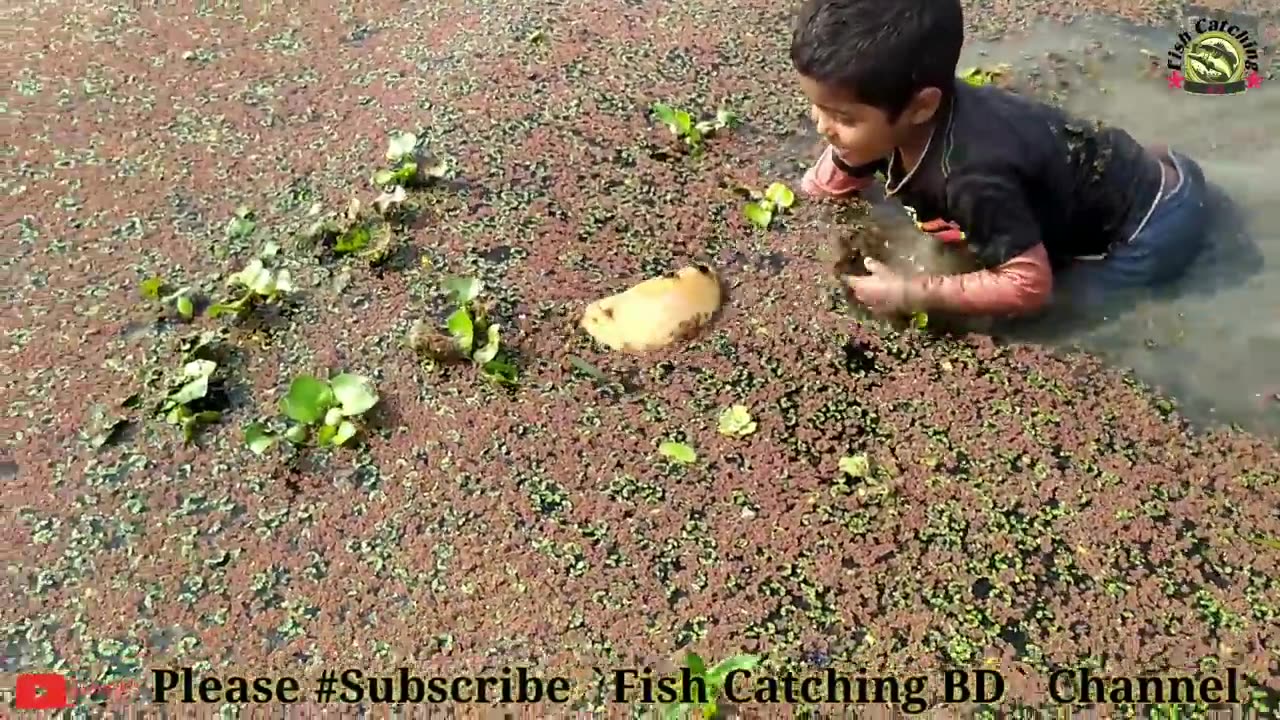Amazing Hand Fishing _Traditional Boy Big Fishing by Hand in