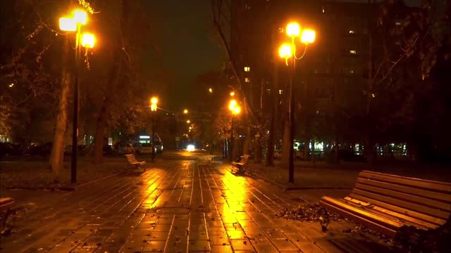 Street Night View