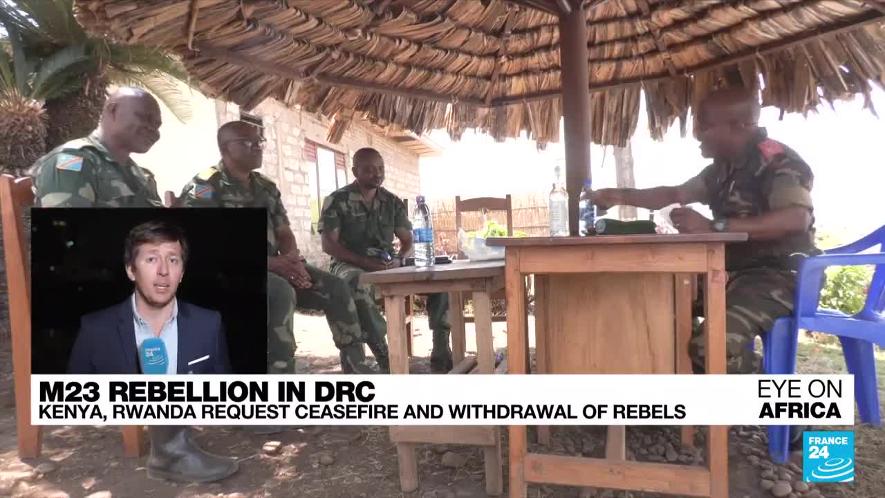 Kenyatta and Rwanda request M23 ceasefire and withdrawal from east Congo