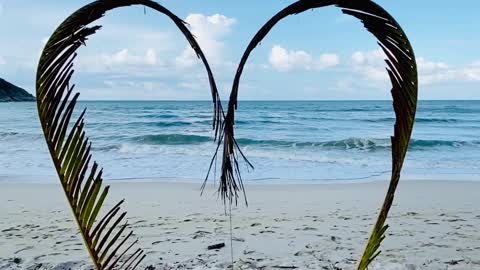 Make a heart of trees on the beach