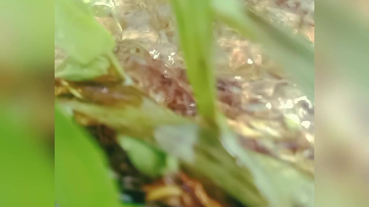Waterfall //waterfall new video #viral #youtubeshorts