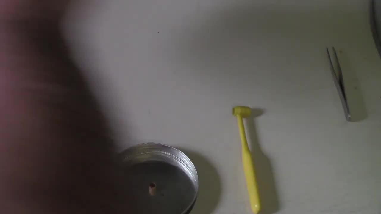 Old Caps, Homemade Caps, and my Mini BP Revolver