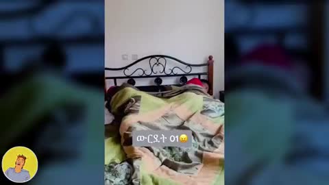 funny tiktok videos