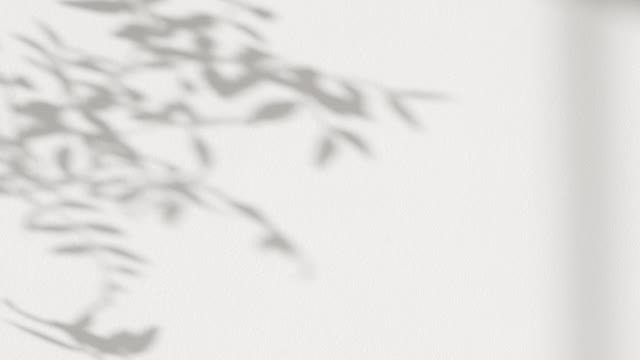 A Shadow of Leaves Swaying in the Wind