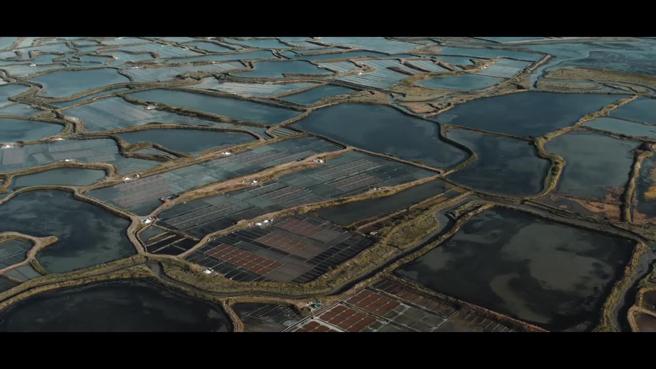 Rising Above _ Marais salants de Guérande, Saint Nazaire _ Bretagne _ Cinematic Drone Footage