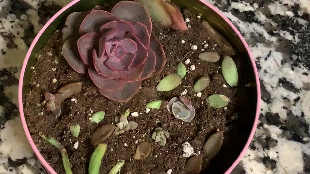 Propagate for the first time