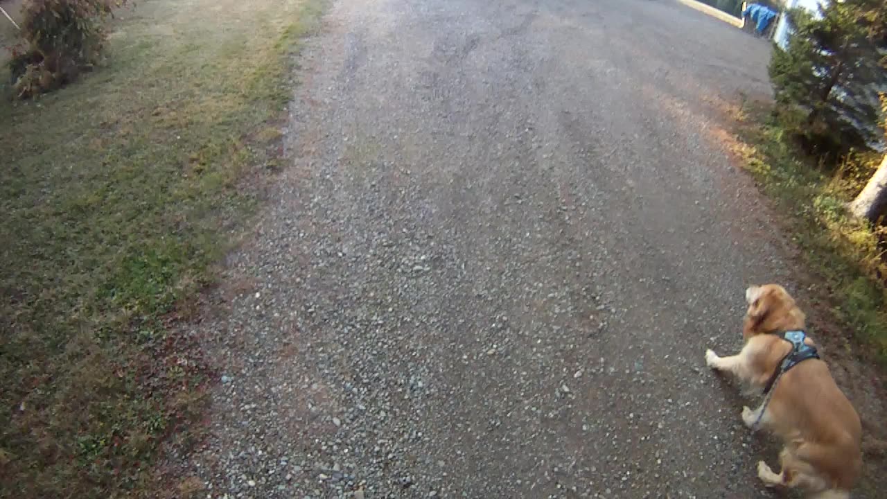 October 21st, 48º Flynn and I go South, Travis at Ant's chain gate.