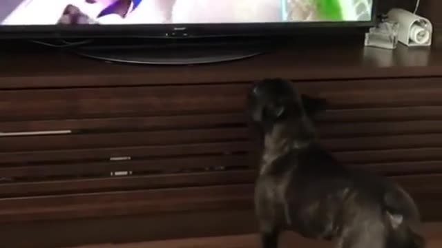 Study by Watching TV