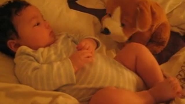 A dog sings to a child