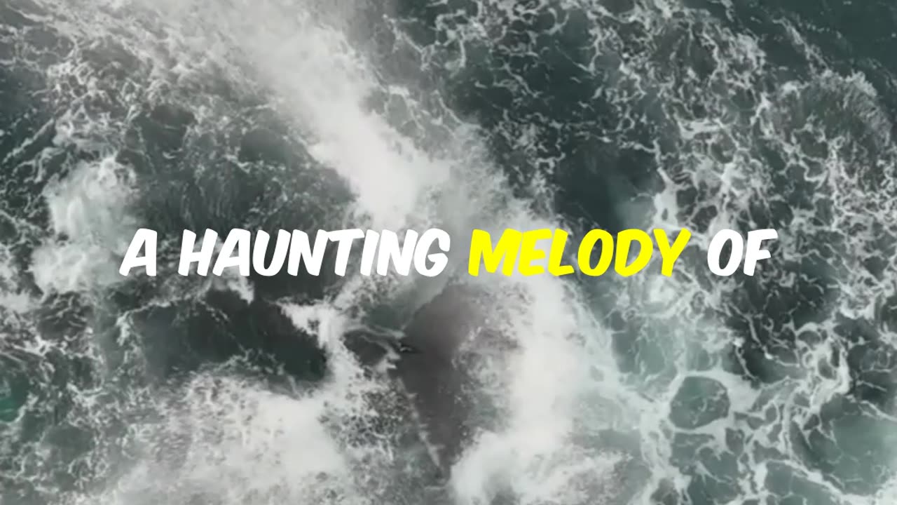 Mysteries of the Deep: Exploring Ocean Wonders