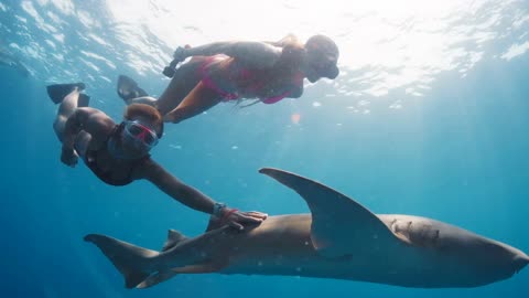 Underwater land! Magical Australia